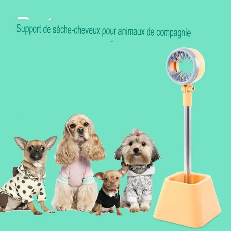 Support de Sèche-Cheveux Pour Animaux