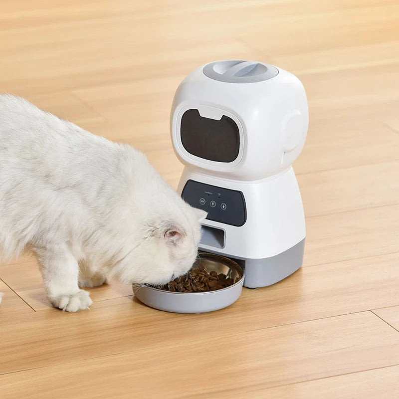 Mangeoire Automatique Pour Chat Et Chien