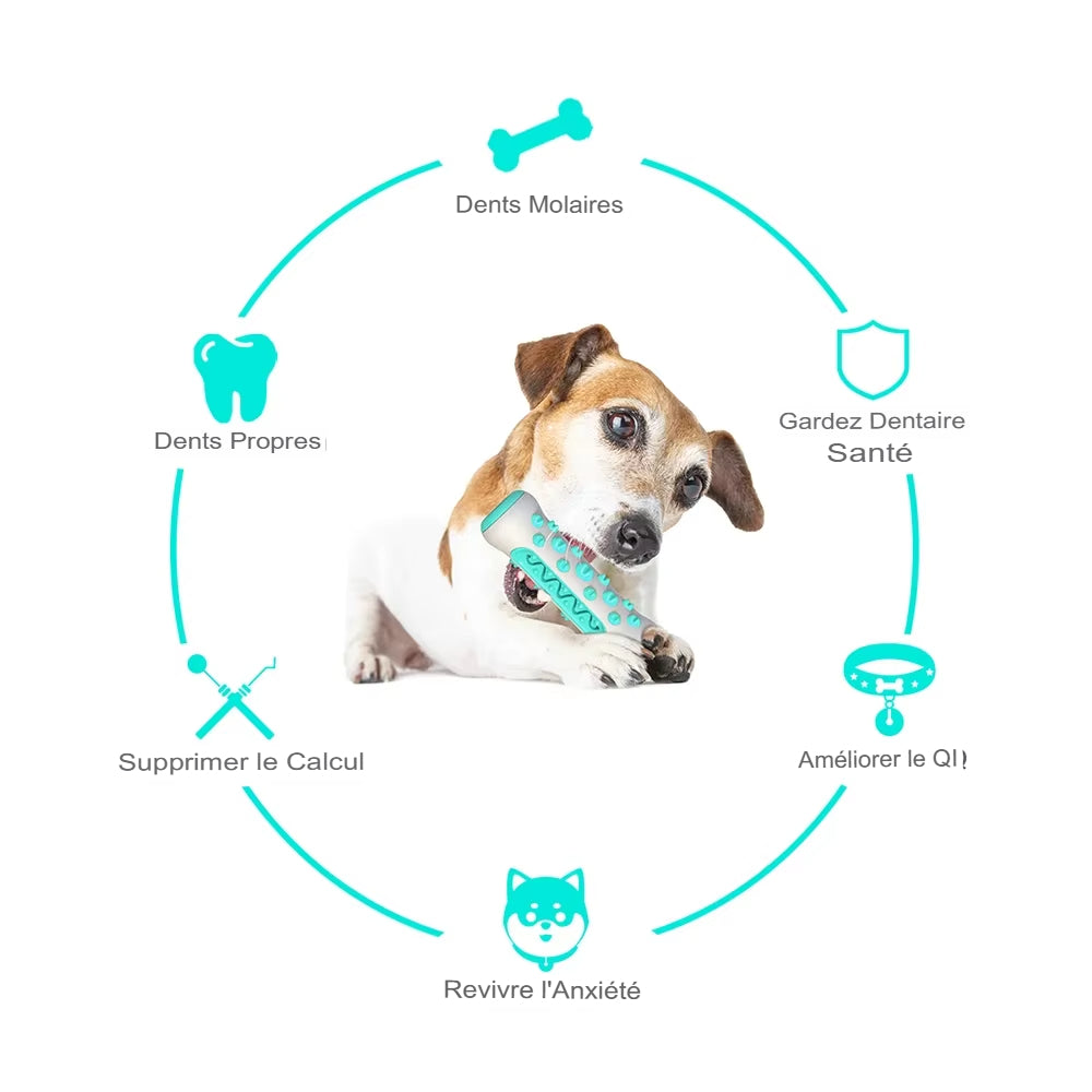 Bâton de dentition pour chiens, jouet, nettoyage des dents, brosse à dents