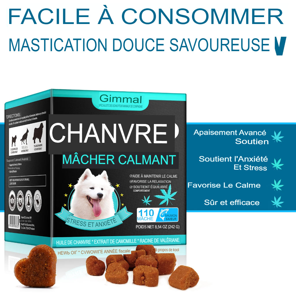 Mâche Calmante au Chanvre pour soulager l'Anxiété et le Stress des Chiens