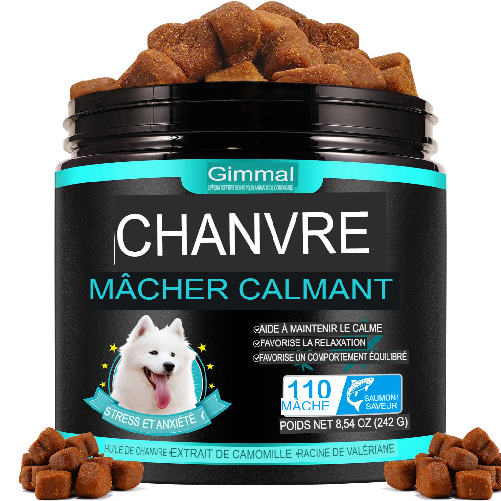 Mâche Calmante au Chanvre pour soulager l'Anxiété et le Stress des Chiens