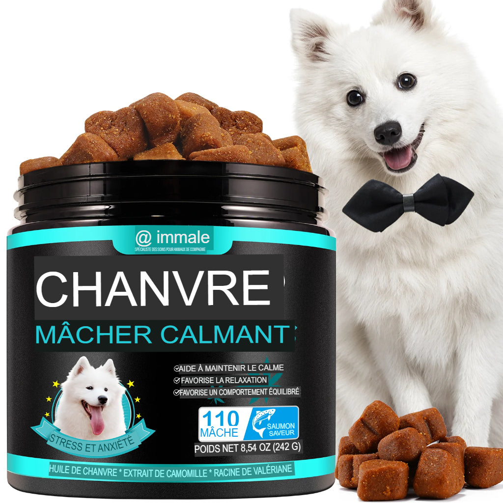 Mâche Calmante au Chanvre pour soulager l'Anxiété et le Stress des Chiens