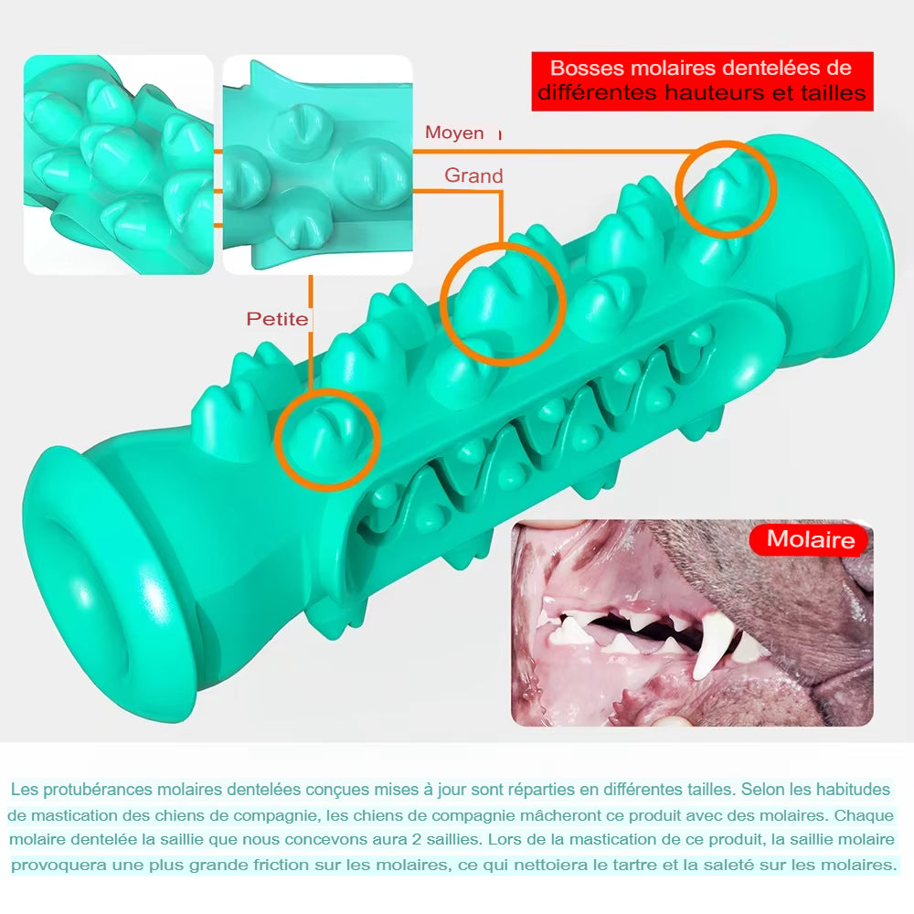 Bâton de dentition pour chiens, jouet, nettoyage des dents, brosse à dents