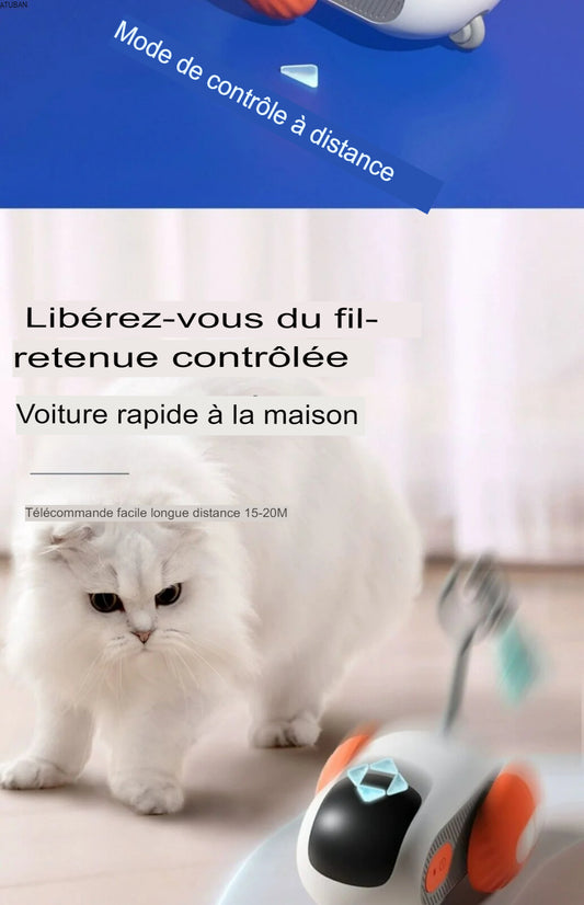 Jouet Pour Chat Intelligent à Distance