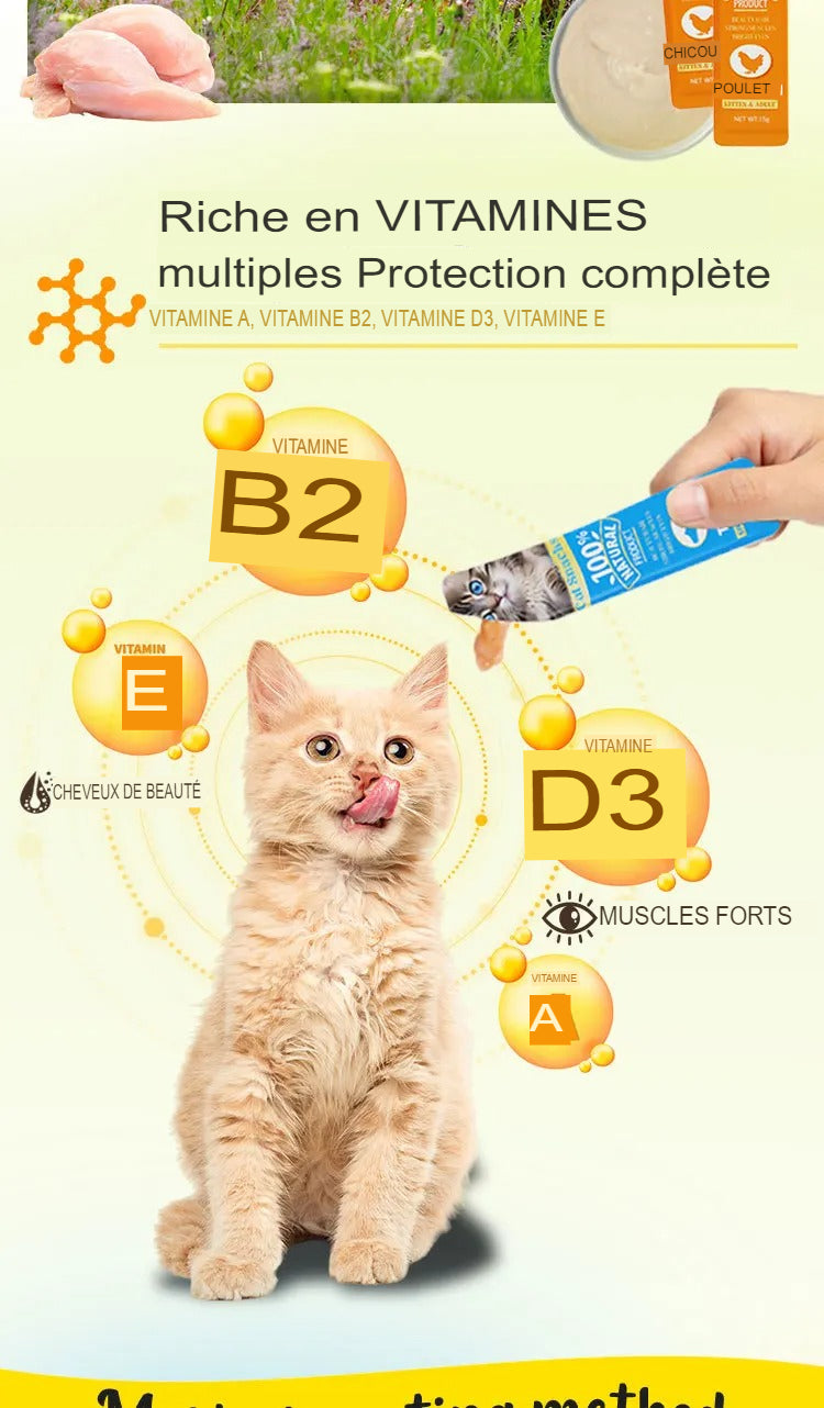 Collations Riches en Protéines Crème Liquide pour Chat 15g